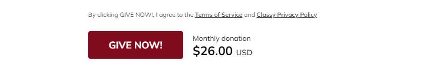 donation-form-example-02.png